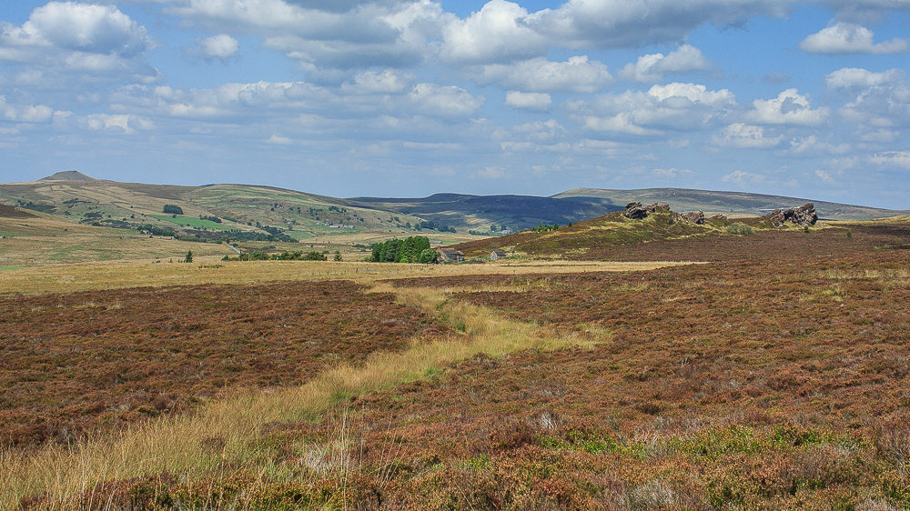Newstone Rocks